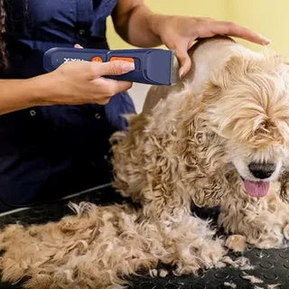 PET HEALTH AND SAFETLY