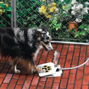 Dog Water Fountain with Hose & Splitter for Fresh Hydration