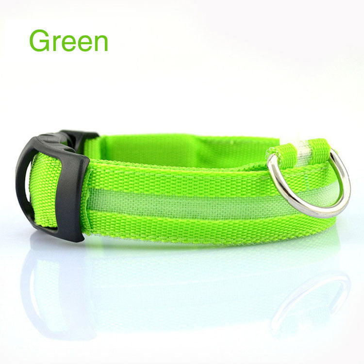Safety Dog LED Collar Safety Dog LED Collar