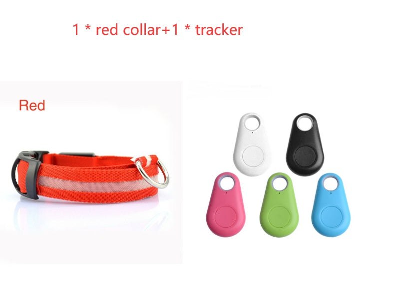 Safety Dog LED Collar Safety Dog LED Collar