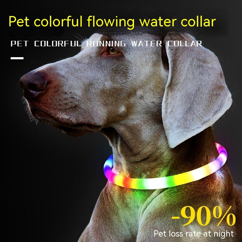 Fashion Led Pet Collar Dog Dog