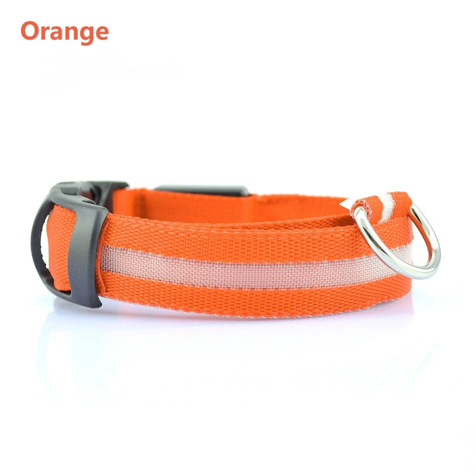 Safety Dog LED Collar Safety Dog LED Collar