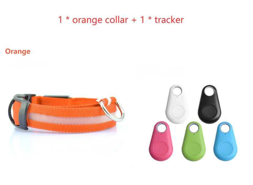 Safety Dog LED Collar Safety Dog LED Collar