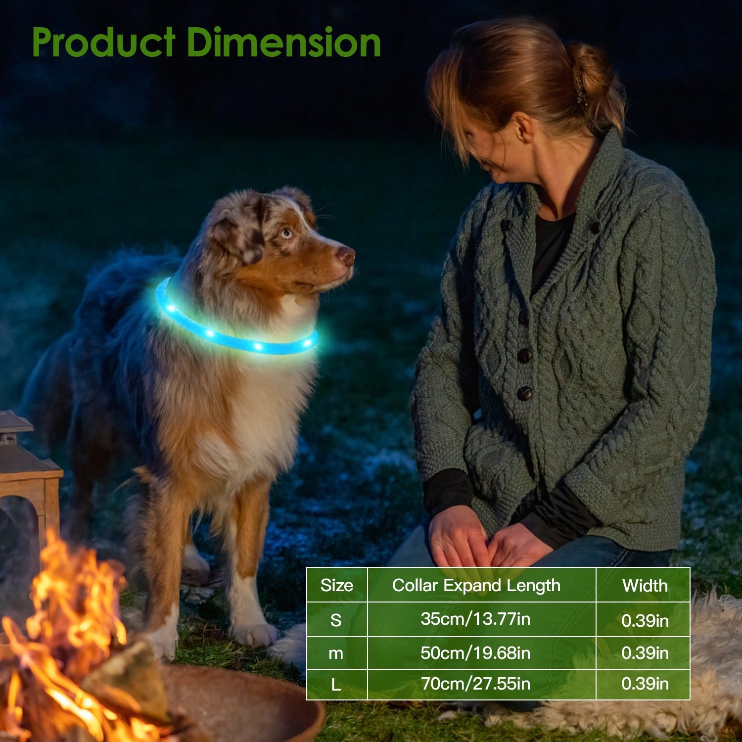 USB Rechargeable LED Dog Collar Multi Color Lighting