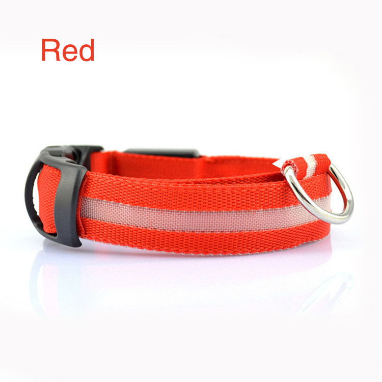 Safety Dog LED Collar Safety Dog LED Collar