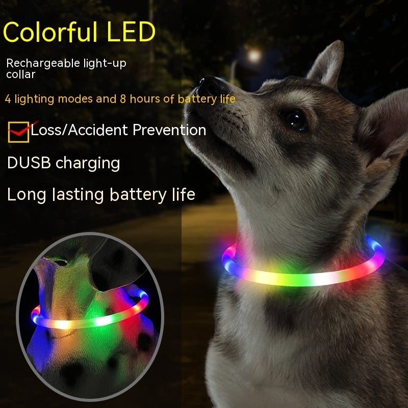 Fashion Led Pet Collar Dog Dog