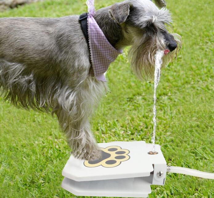 Dog Water Fountain with Hose & Splitter for Fresh Hydration